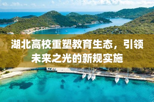 湖北高校重塑教育生态，引领未来之光的新规实施