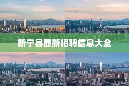 新宁县最新招聘信息大全