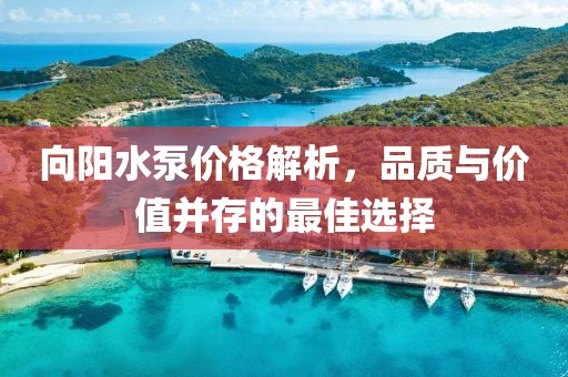 向阳水泵价格解析，品质与价值并存的最佳选择