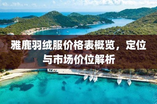 雅鹿羽绒服价格表概览，定位与市场价位解析