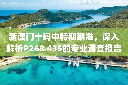 新澳门十码中特期期准，深入解析P268.435的专业调查报告