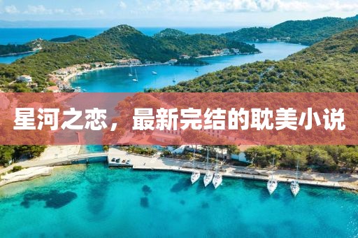 星河之恋，最新完结的耽美小说