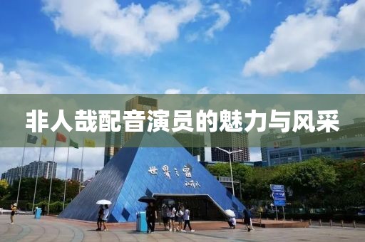 非人哉配音演员的魅力与风采