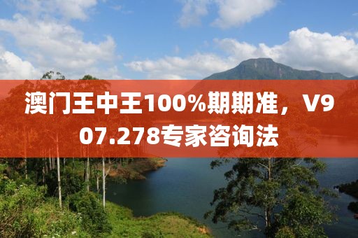 澳门王中王100%期期准，V907.278专家咨询法