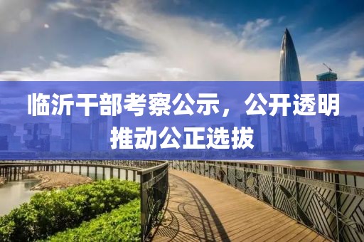临沂干部考察公示，公开透明推动公正选拔