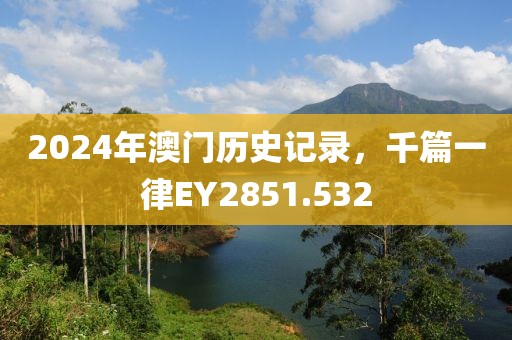 2024年澳门历史记录，千篇一律EY2851.532