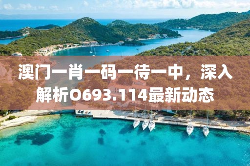 澳门一肖一码一待一中，深入解析O693.114最新动态