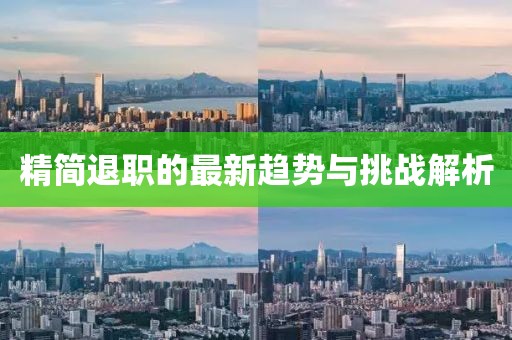 精简退职的最新趋势与挑战解析