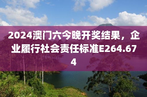 2024澳门六今晚开奖结果，企业履行社会责任标准E264.674
