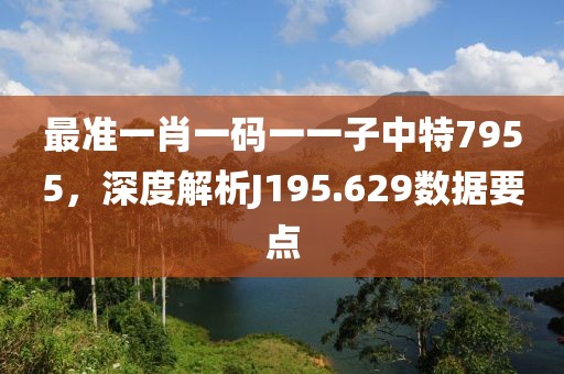 最准一肖一码一一子中特7955，深度解析J195.629数据要点