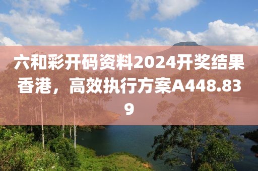 六和彩开码资料2024开奖结果香港，高效执行方案A448.839