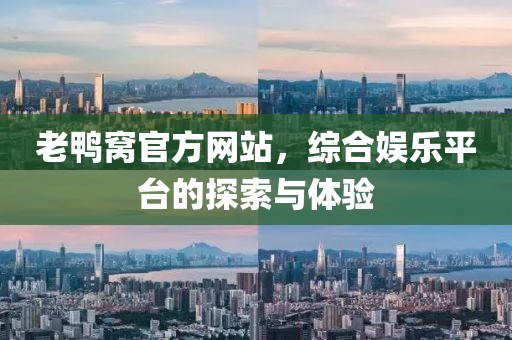 老鸭窝官方网站，综合娱乐平台的探索与体验