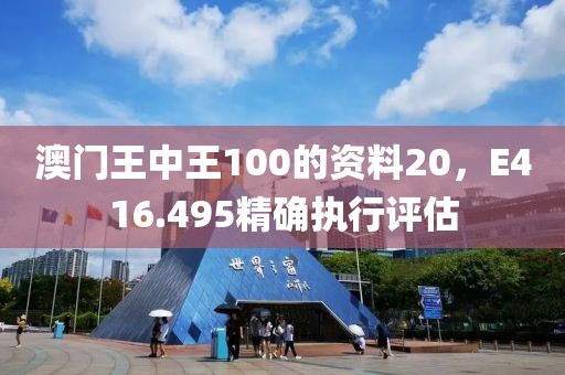 澳门王中王100的资料20，E416.495精确执行评估