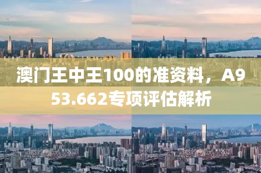 澳门王中王100的准资料，A953.662专项评估解析