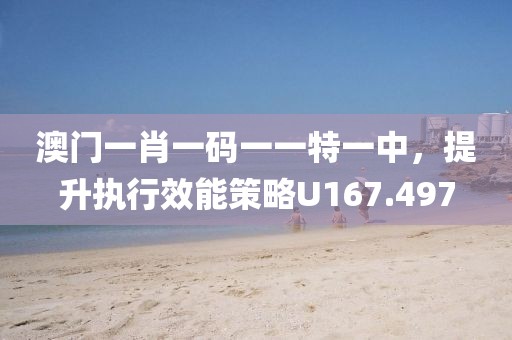 澳门一肖一码一一特一中，提升执行效能策略U167.497