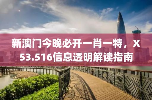 新澳门今晚必开一肖一特，X53.516信息透明解读指南