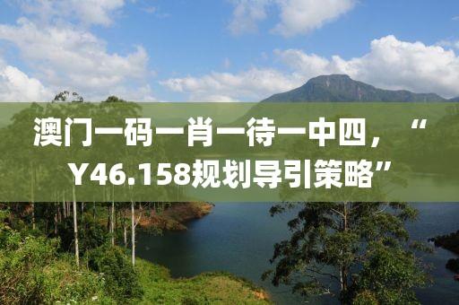 澳门一码一肖一待一中四，“Y46.158规划导引策略”