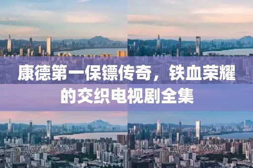 康德第一保镖传奇，铁血荣耀的交织电视剧全集