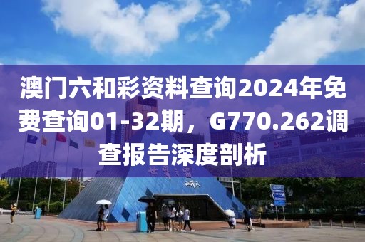 澳门六和彩资料查询2024年免费查询01-32期，G770.262调查报告深度剖析