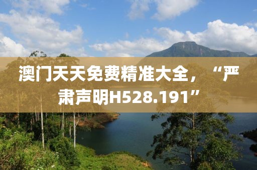澳门天天免费精准大全，“严肃声明H528.191”