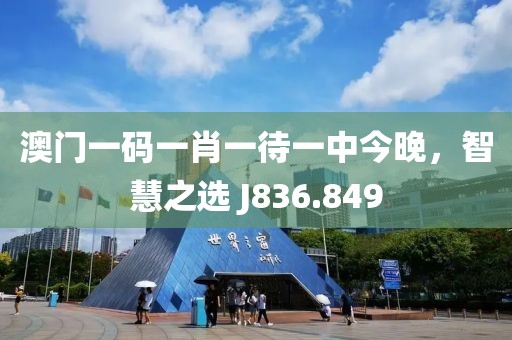 澳门一码一肖一待一中今晚，智慧之选 J836.849