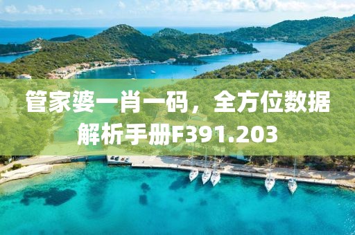 管家婆一肖一码，全方位数据解析手册F391.203