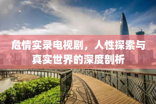 危情实录电视剧，人性探索与真实世界的深度剖析