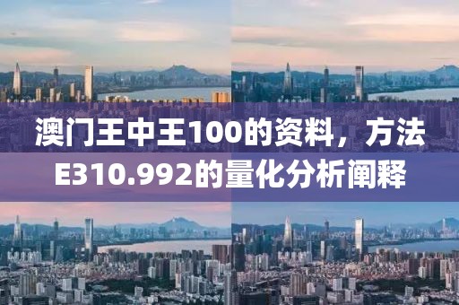 澳门王中王100的资料，方法E310.992的量化分析阐释