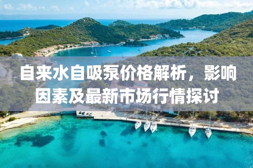 自来水自吸泵价格解析，影响因素及最新市场行情探讨