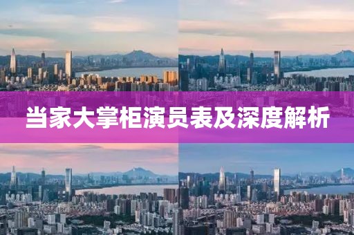 当家大掌柜演员表及深度解析