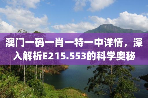 澳门一码一肖一特一中详情，深入解析E215.553的科学奥秘