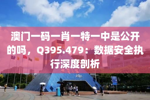 澳门一码一肖一特一中是公开的吗，Q395.479：数据安全执行深度剖析