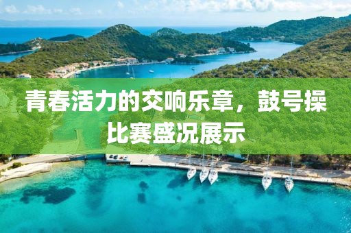 青春活力的交响乐章，鼓号操比赛盛况展示