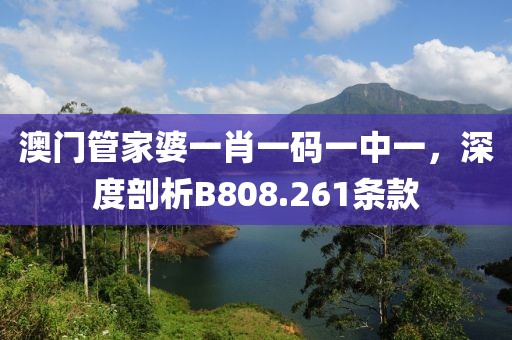 澳门管家婆一肖一码一中一，深度剖析B808.261条款