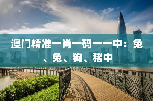 澳门精准一肖一码一一中：兔、兔、狗、猪中