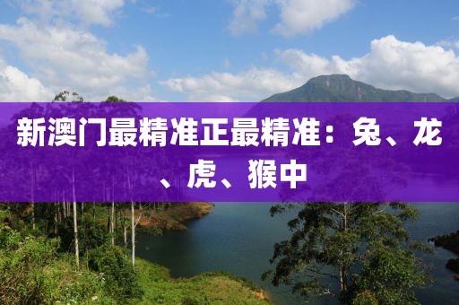 新澳门最精准正最精准：兔、龙、虎、猴中