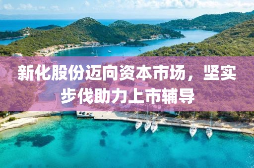 新化股份迈向资本市场，坚实步伐助力上市辅导
