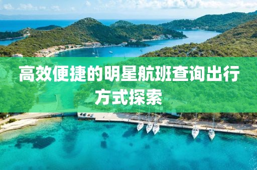高效便捷的明星航班查询出行方式探索
