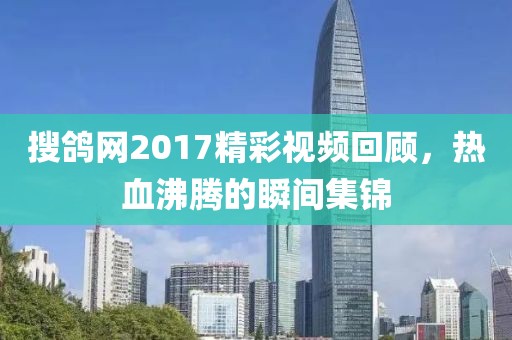 搜鸽网2017精彩视频回顾，热血沸腾的瞬间集锦