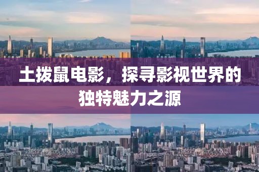 土拨鼠电影，探寻影视世界的独特魅力之源
