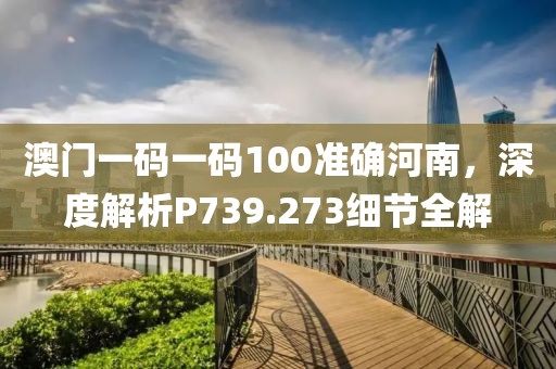 澳门一码一码100准确河南，深度解析P739.273细节全解