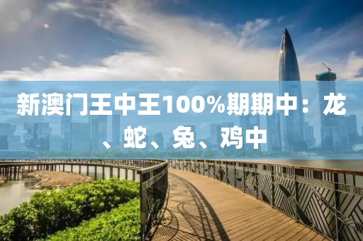 新澳门王中王100%期期中：龙、蛇、兔、鸡中
