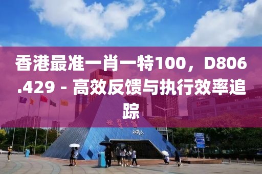 香港最准一肖一特100，D806.429 - 高效反馈与执行效率追踪