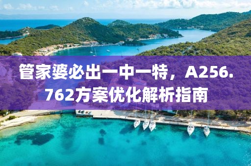 管家婆必出一中一特，A256.762方案优化解析指南