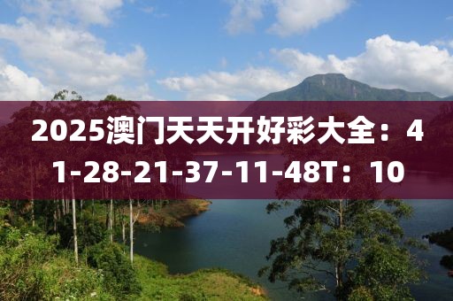 2025澳门天天开好彩大全：41-28-21-37-11-48T：10