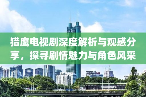 猎鹰电视剧深度解析与观感分享，探寻剧情魅力与角色风采