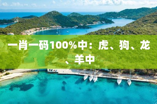 一肖一码100%中：虎、狗、龙、羊中