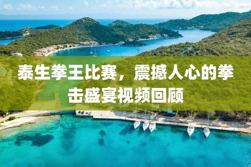 泰生拳王比赛，震撼人心的拳击盛宴视频回顾