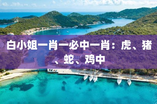 白小姐一肖一必中一肖：虎、猪、蛇、鸡中