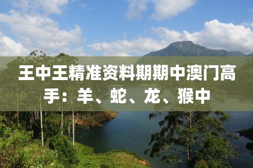 王中王精准资料期期中澳门高手：羊、蛇、龙、猴中